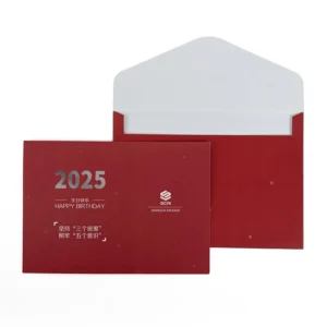 Printed Kraft Paper Envelopes