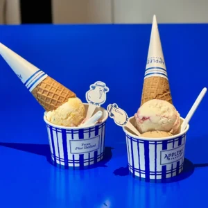 Biodegradable Kraft Ice Cream Cups