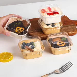 Biodegradable Slotted Food Packaging Boxes