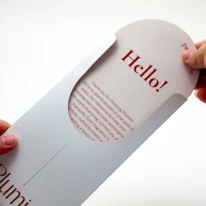 Embossed Kraft Envelope Packaging