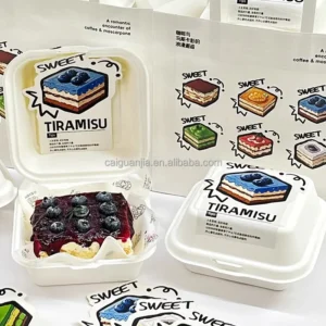 Recyclable Square Food Packaging Boxes